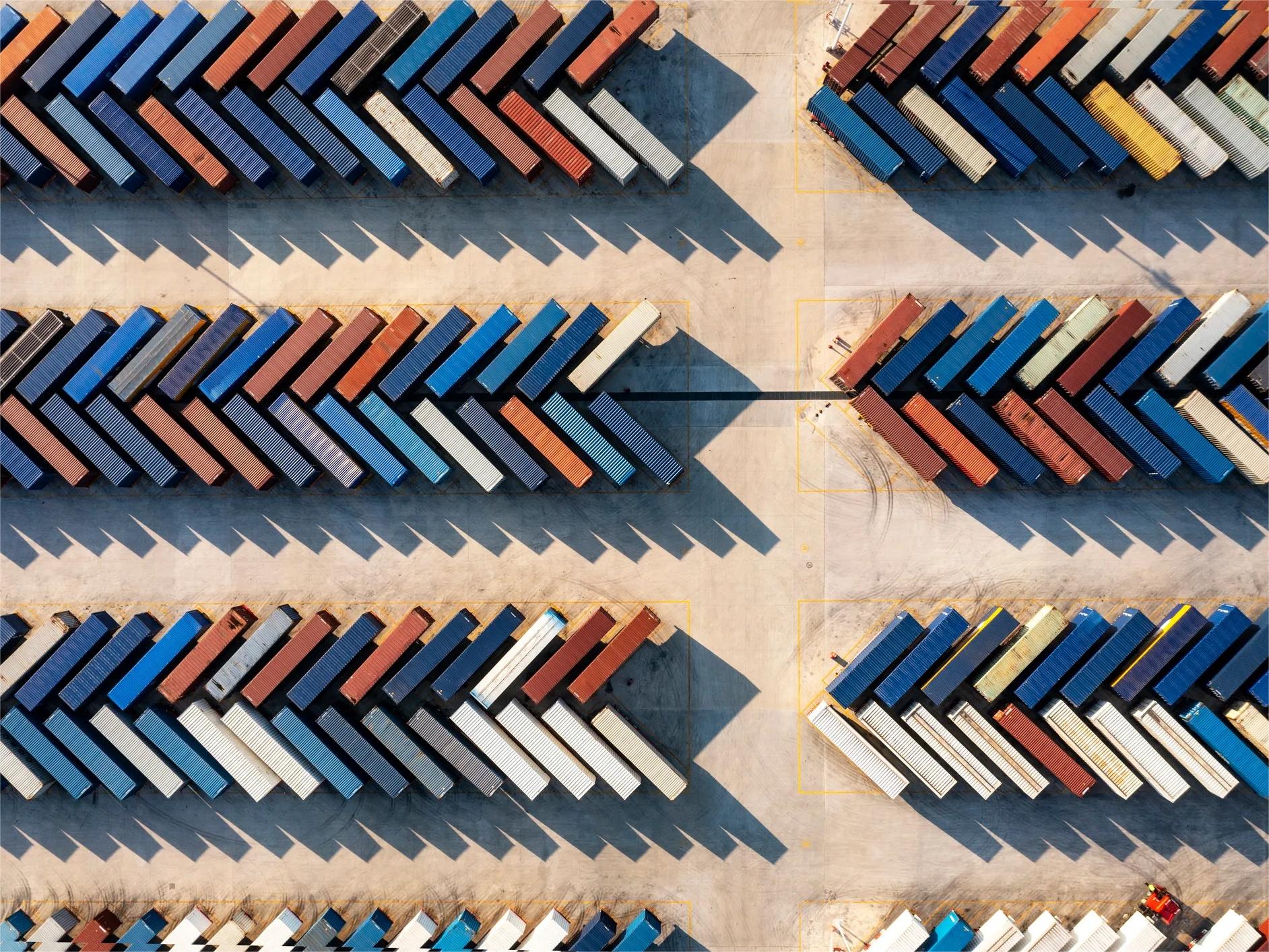 Logistics professional reviewing shipping documentation for customs clearance