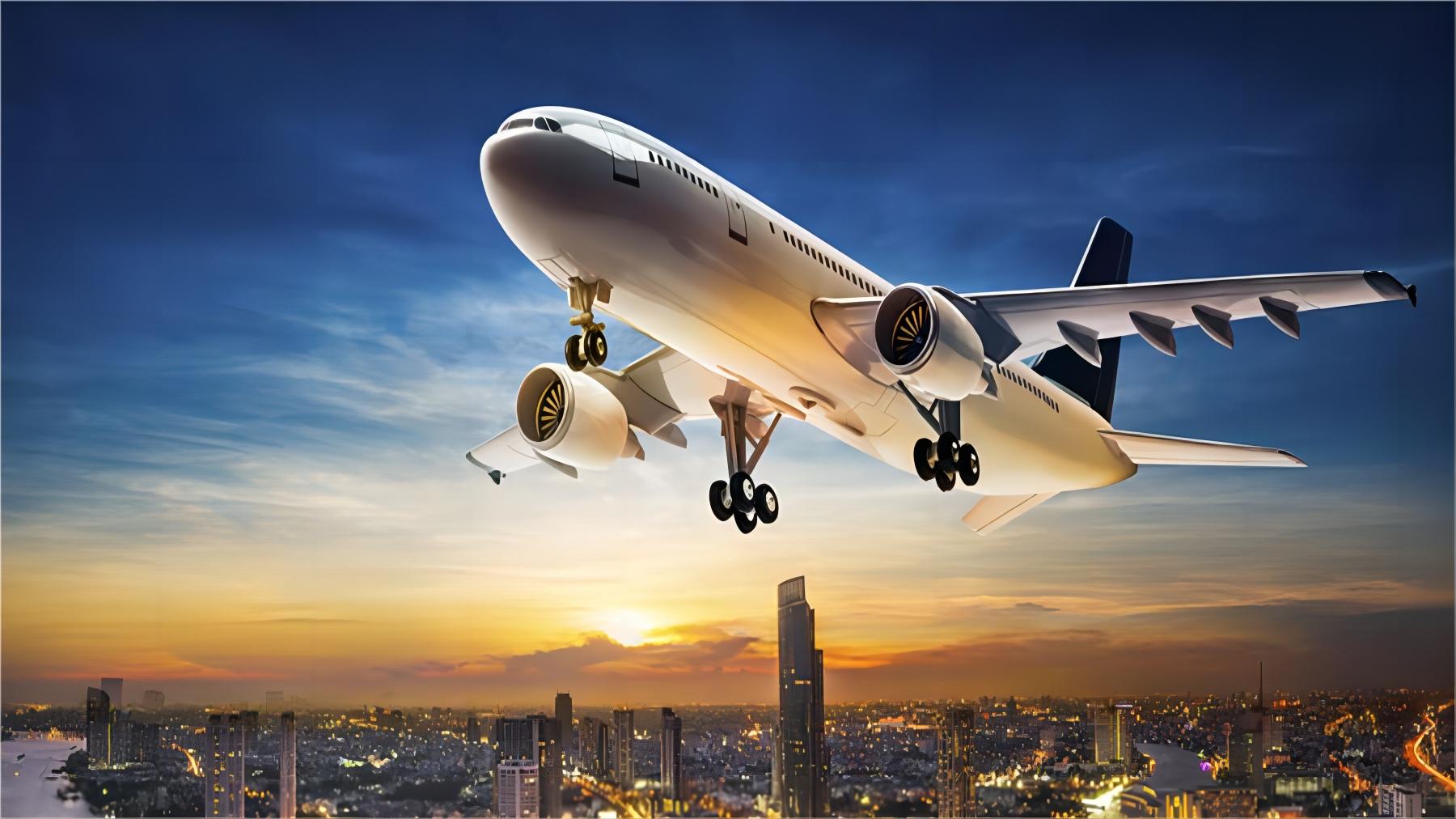 Logistics professional managing international cargo shipments